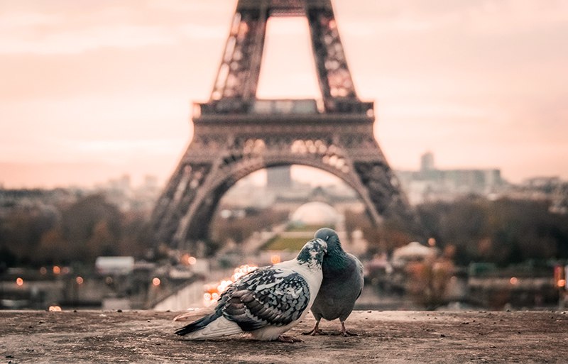 La vie en rose richiama subito Parigi. La capitale francese è qui rappresentata da questa foto di Fabrizio Verrecchia, disponibile su Unsplash