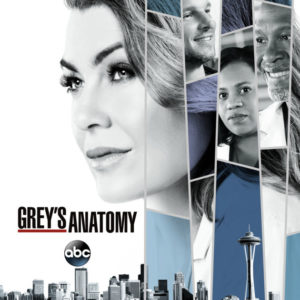 Grey’s Anatomy – 14×09: “1-800-799-7233”