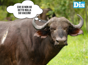 I vaccini fanno male… o fanno più male le bufale?